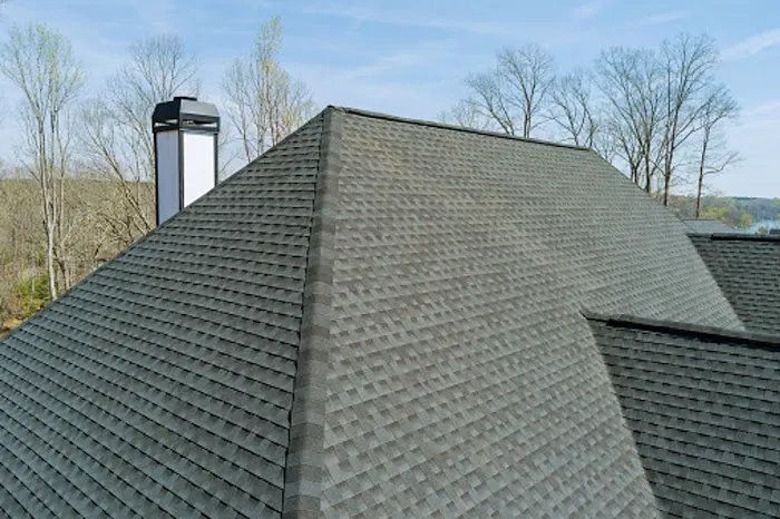 Apex Roof Solutions Picture 1