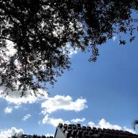 Eagle roofing Corp ico