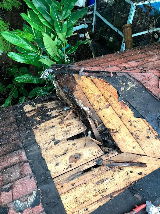 Eagle roofing Corp Picture 2