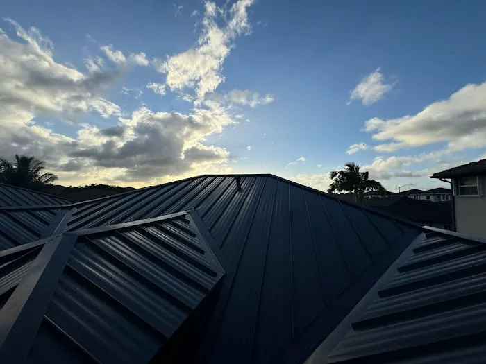 Umbrella Puebla Corp Picture 1