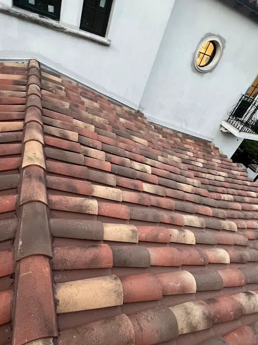 Umbrella Puebla Corp Picture 4