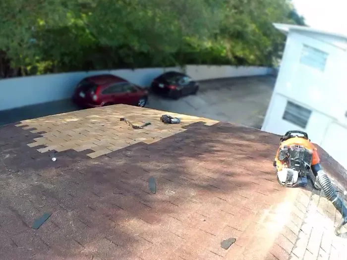 Umbrella Puebla Corp Picture 10