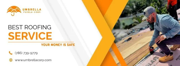 Umbrella Puebla Corp Picture 7