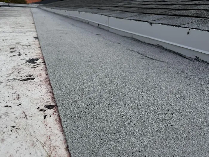 Umbrella Puebla Corp Picture 5