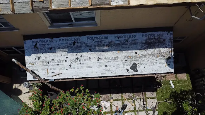 ROOF SHARX Picture 6