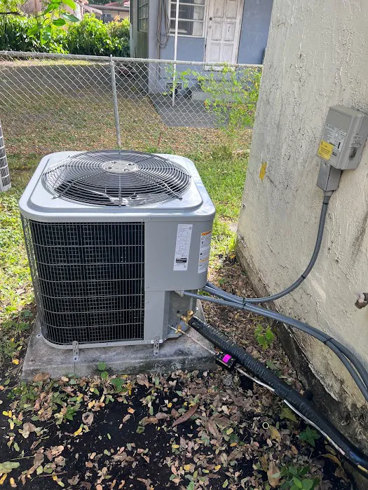 Blue Panther Picture 5