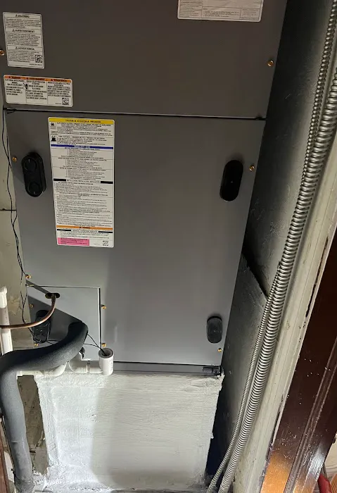 Blue Panther Picture 4