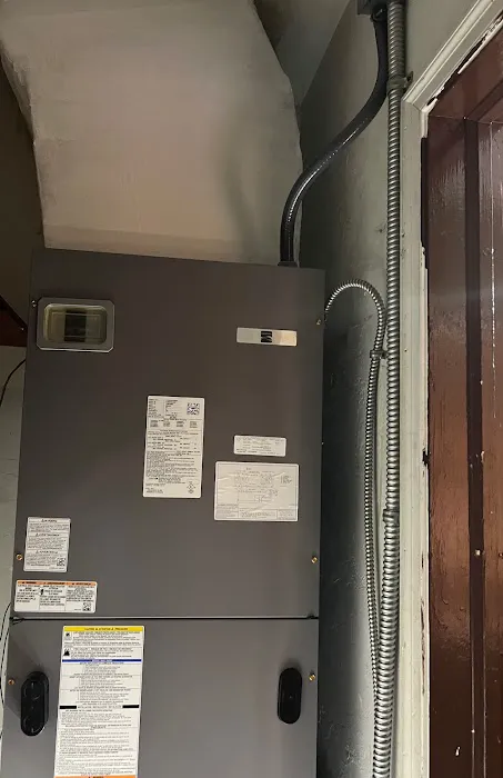 Blue Panther Picture 1