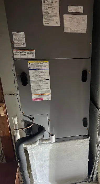 Blue Panther Picture 3