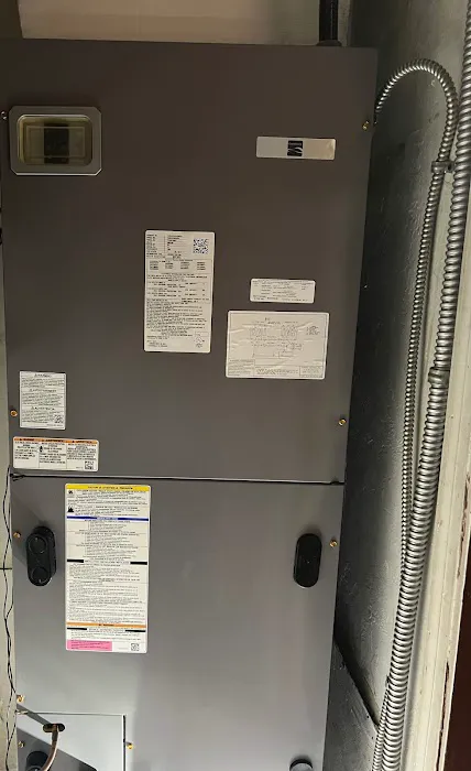 Blue Panther Picture 2