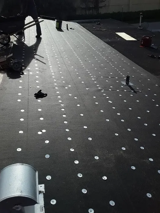 Dynasty Roofing LLC Picture 3