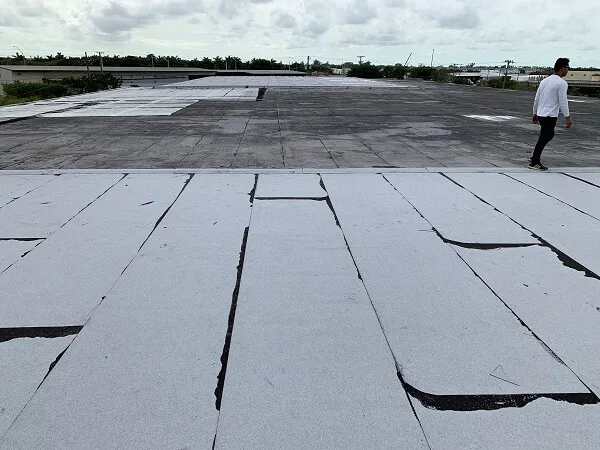 Dynasty Roofing LLC Picture 1