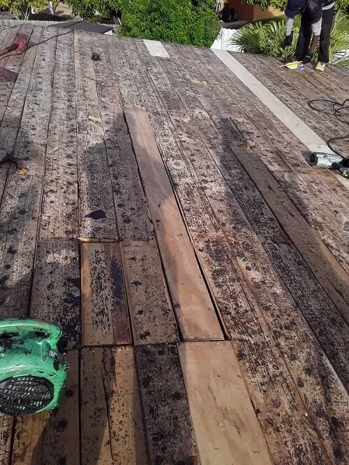 Dynasty Roofing LLC Picture 5