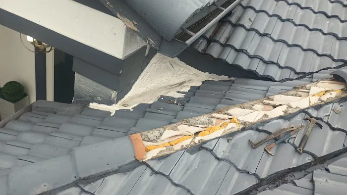 Estrada Aguilar service corp Picture 6