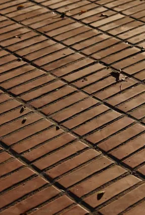 Expert Team Roofers Picture 1