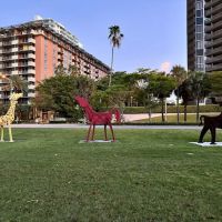 Miami Dade Roofing ico