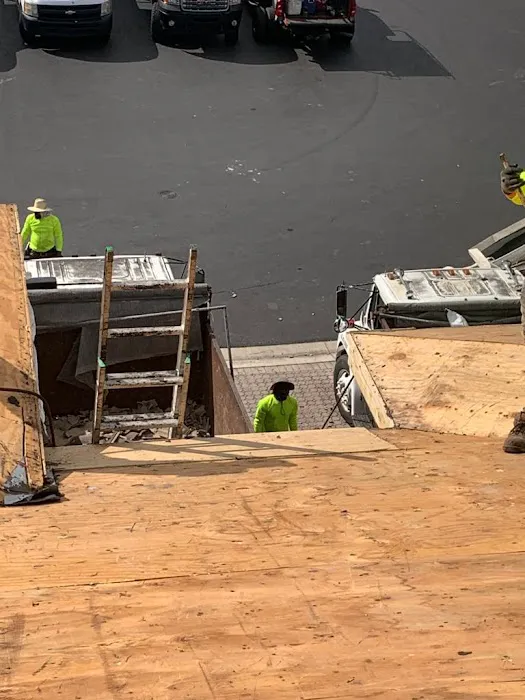 Bee's Perfect Roofing Picture 6