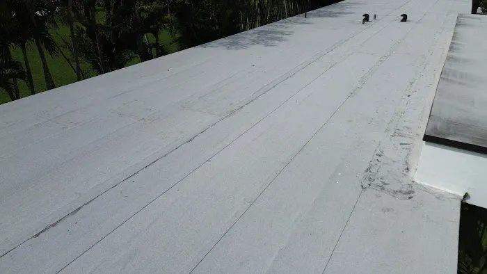 Foremost Roofing Picture 2