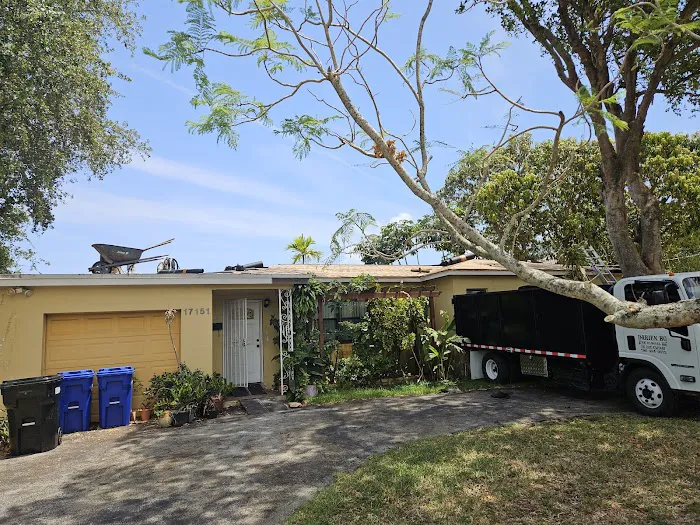 Novo Roofing Picture 2