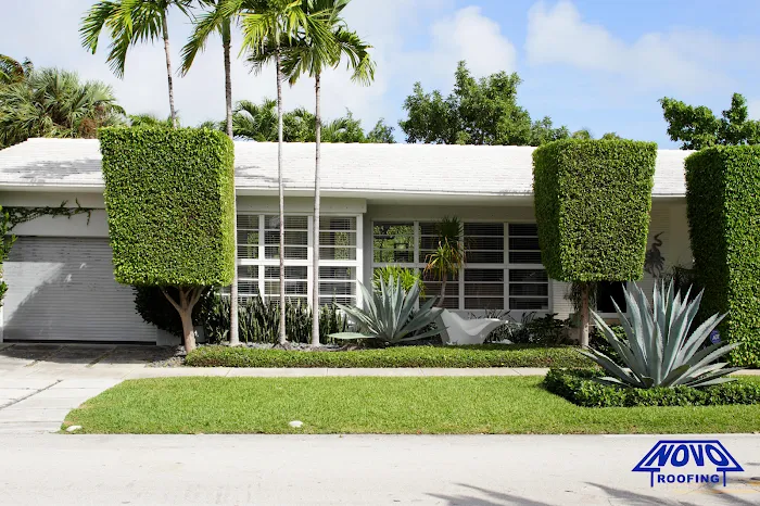 Novo Roofing Picture 10