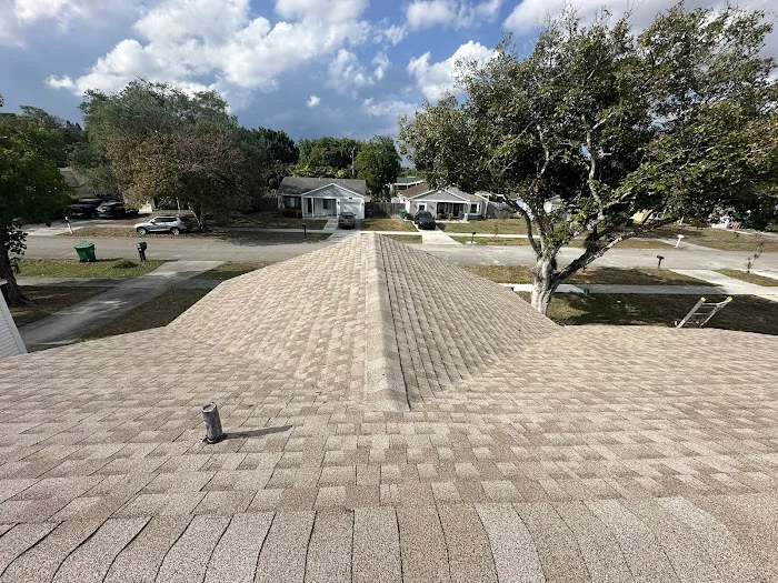 Novo Roofing Picture 6