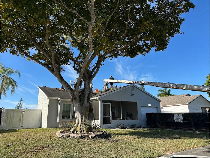 Novo Roofing Picture 4