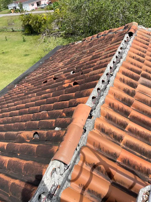 Randy Roofing Picture 7