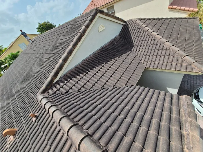 Aguilera roofing solutions Picture 6