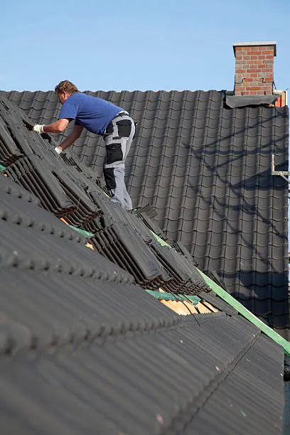 Palmetto Pride Roofing Picture 9