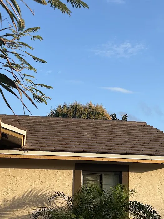 A Green Contractors Corp. Picture 6