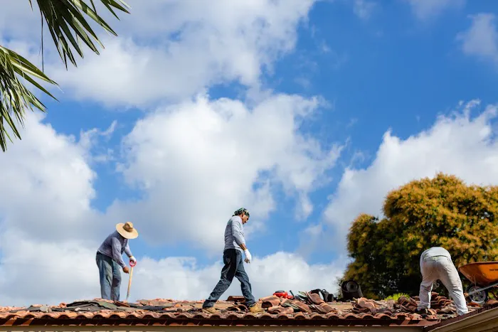 A Green Contractors Corp. Picture 9