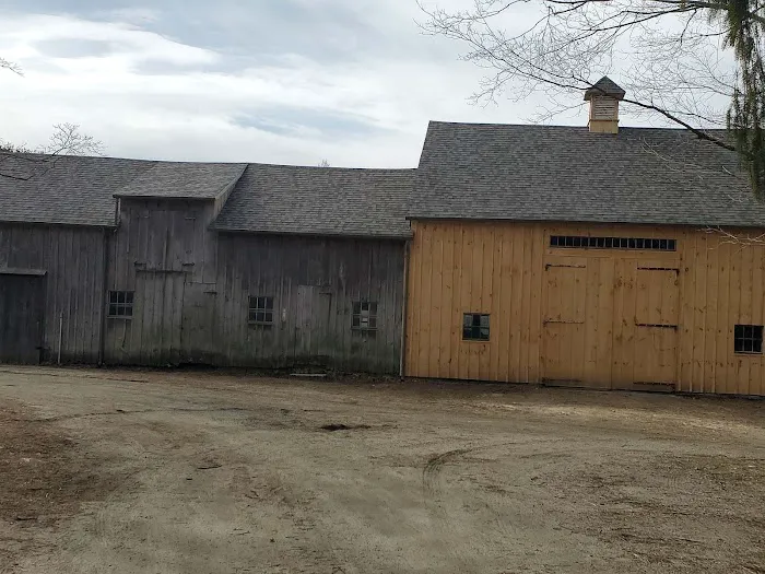 A Green Roofers Company Miami Picture 5