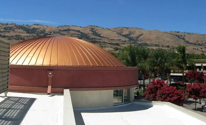 A Green Roofers Company Miami Picture 1