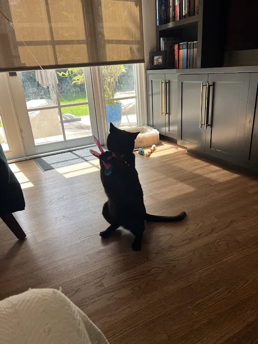 Daley Roofing Inc Picture 2