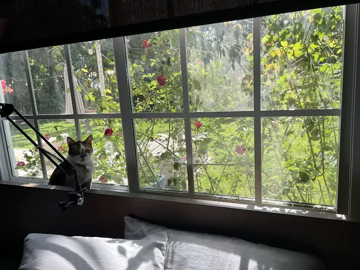 Daley Roofing Inc Picture 4