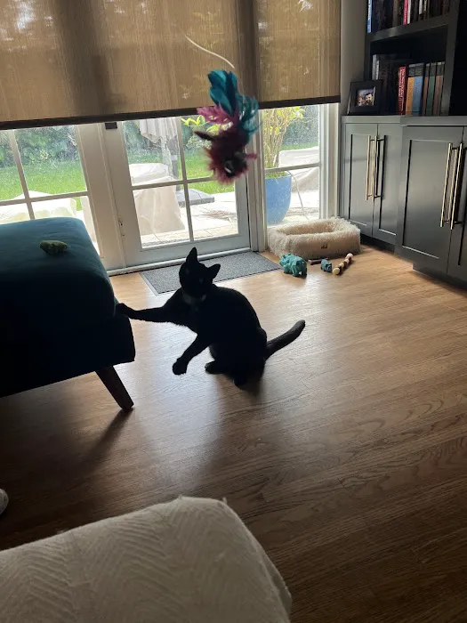 Daley Roofing Inc Picture 3