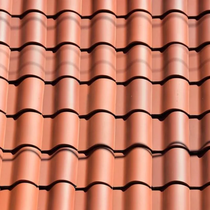 Hasid On The Roof Florida Picture 8