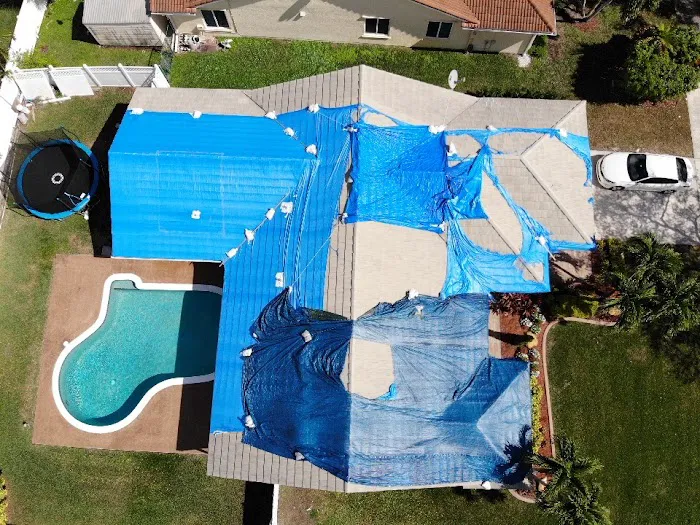 Cocho, Inc. Picture 9