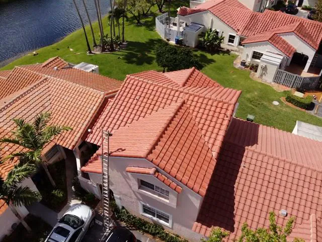 Cocho, Inc. Picture 2