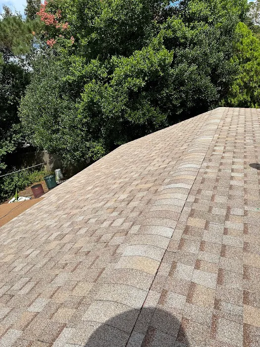 TJ Of Miami Inc Picture 8