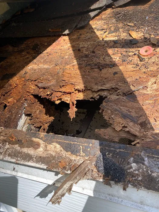 TJ Of Miami Inc Picture 9