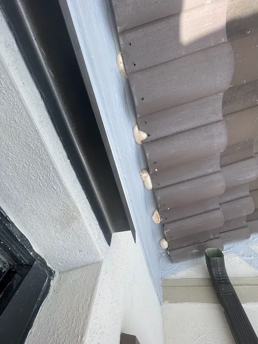 Pine Roofing Services Hialeah Picture 5