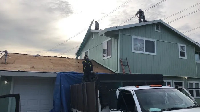 Undercover Roofing & Metal Company Miami Picture 5