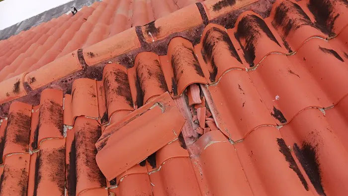 Idc Roofing Construction Picture 2