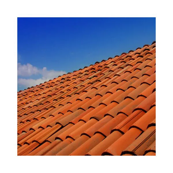 Handyman Roof Picture 1