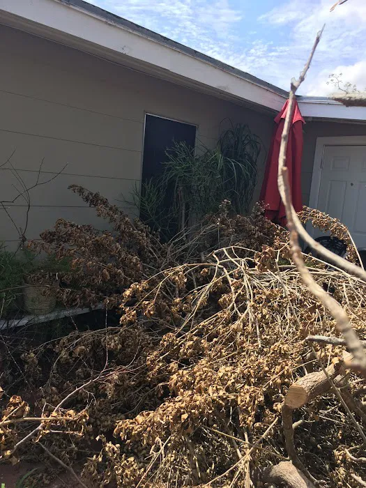 R3 Group CGC Picture 8