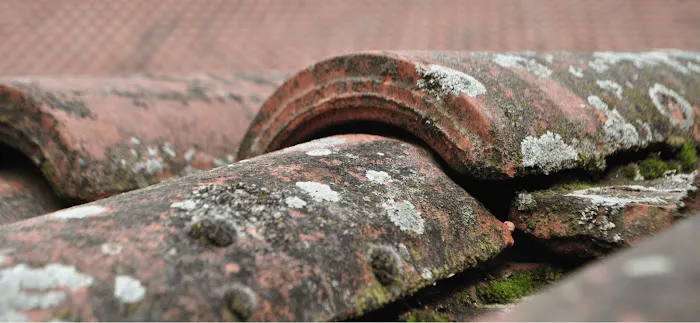 Aventura Roofing Experts Picture 1