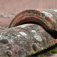 Aventura Roofing Experts ico