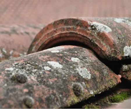 Aventura Roofing Experts