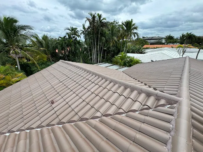 Navarro Roofing Picture 7